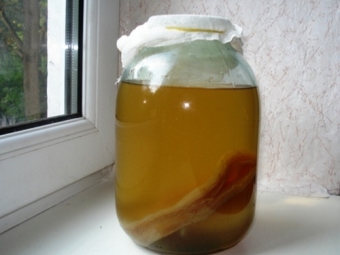  Kombucha gondozása