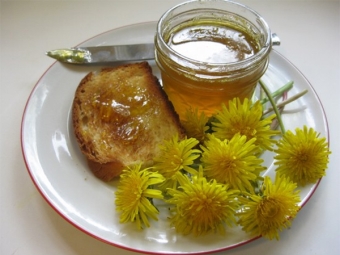  Dandelion jam