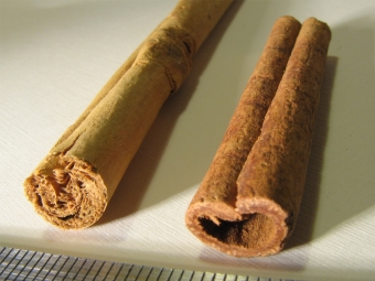  Különbség - Ceylon Cinnamon és Cassia