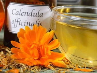  Calendula oil obtained by extraction