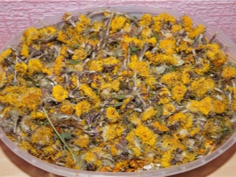  Dried coltsfoot flowers