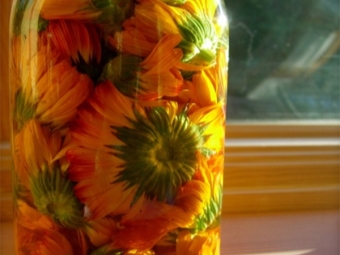  Tincture of calendula from whole flowers