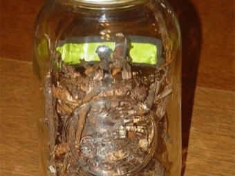  Dandelion roots tincture on vodka