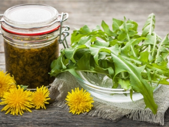  Tincture of dandelion flowers on vodka