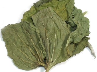  Plantain dry leaf