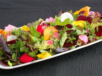  Pink Petals Salad