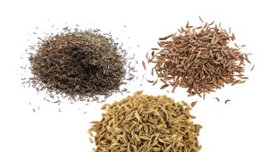  What is different zira, cumin and cumin