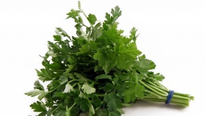  Parsley