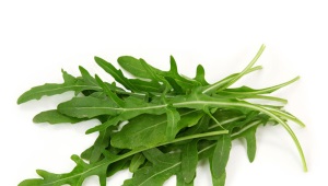  Arugula (arugula)