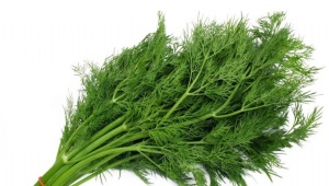  Dill