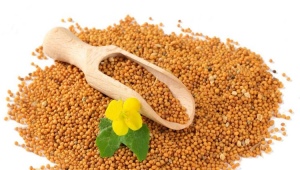  Mustard seeds