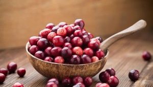  Cranberry: properties of berries and use in various diseases