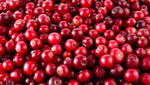  The effect of cranberry on blood pressure