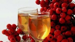  Secrets of cooking rowan wine