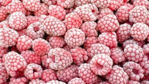  Frozen raspberries: benefits and features of processing