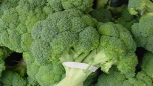  Broccoli: composition, calorie and cooking features