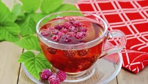  Tea with raspberries: a favorite taste and health from nature