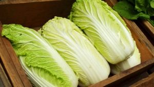  How to cut Chinese cabbage?