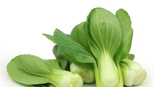  Chinese cabbage pak choi: characteristics, cultivation and popular recipes