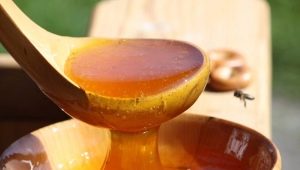  Why fermented honey and how can I use it now?