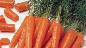  Carrots: calories, healthy properties and recipes