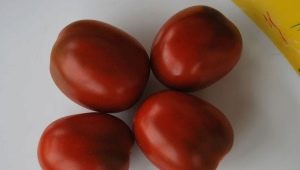  De Barao Tomatoes: Characteristics and Types