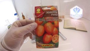  Tomato Golden Fleece: jellemzők és termesztési folyamat