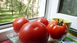  Nepas Tomatoes: Features and Varieties