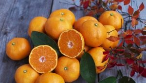  Orange - fruit or berry, with which it is better to combine and how to choose?