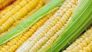  How to freeze corn?