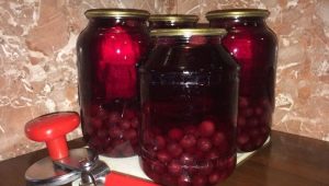  How to make cherry compote for the winter?