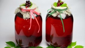  How to cook a delicious red currant compote?