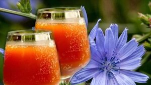  Chicory kvass: useful properties and cooking options