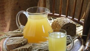  Kvass made from oats: homemade recipes, composition and benefits of an old drink