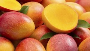  Mango: tulajdonságok és felhasználások