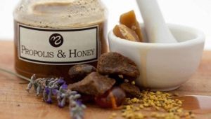  Honey with propolis: what is it and how is it useful?