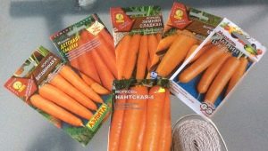  Carrots: planting and care in the open field