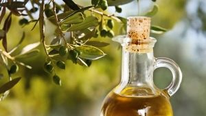  Olive oil: calorie and nutritional value of the product