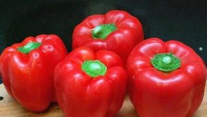  Pepper Bogatyr: characteristics and characteristics of growing