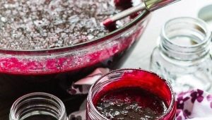  Currants with sugar: recipes blanks for the winter and storage rules