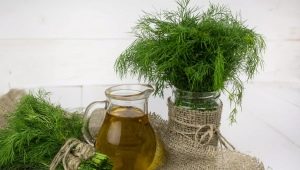  Dill oil: features of the application and better recipes