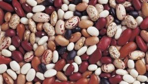  Beans: calorie and nutritional value