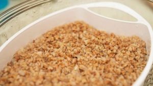  Buckwheat in a double boiler: cooking features and recipes