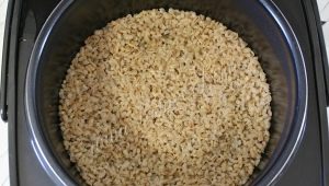  Recipes barley porridge without soaking in a slow cooker