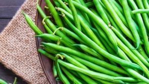  String beans: properties and rules of use