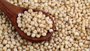  Sorghum Groats: features, properties, and use