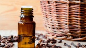  Clove oil: properties and features of use