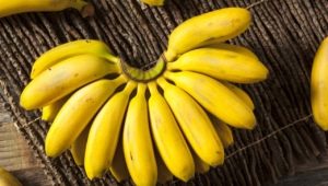  Mini-bananas: how do they differ from big ones and how much more useful is it?