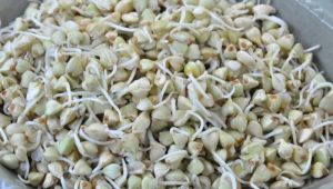  Germinated green buckwheat: properties, caloric content and composition