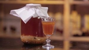  Rice kvass: features of the drink and cooking recipes